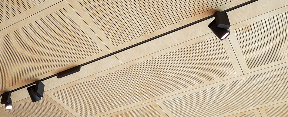 Perforated Birch plywood ceiling