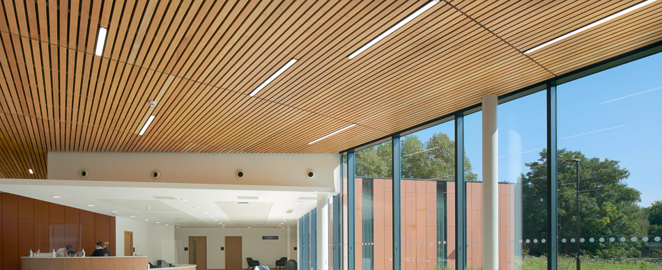 Slatted timber acoustic ceiling
