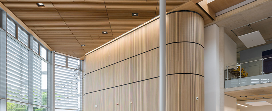 Timber acoustic walls