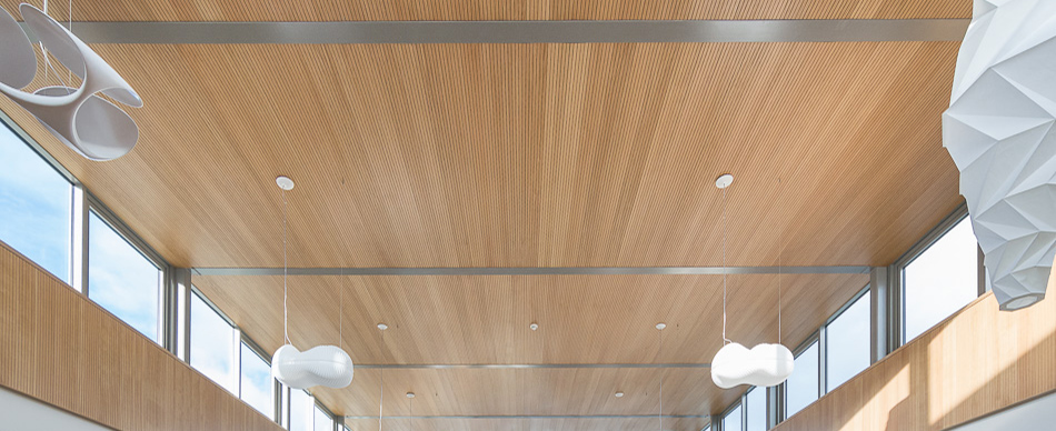 Timber acoustic ceiling