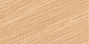 Nanoperforated timber